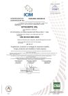ICIM-9001-IT